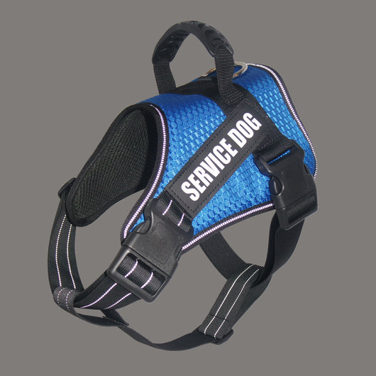 Arnés Personalizado para Mascotas - Image 8