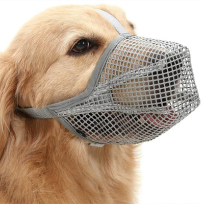 Protector Bucal Fashionable para Perros - Image 7