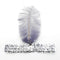 Tocado De Plumas Indias Plateado