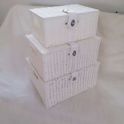 Canasta de Almacenamiento de Ratán Plástico con Tapa para Escritorio - Image 20