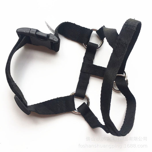 Bozal Ajustable para Perros - Máscara Transpirable Antimodidas y Anticomida - Image 12