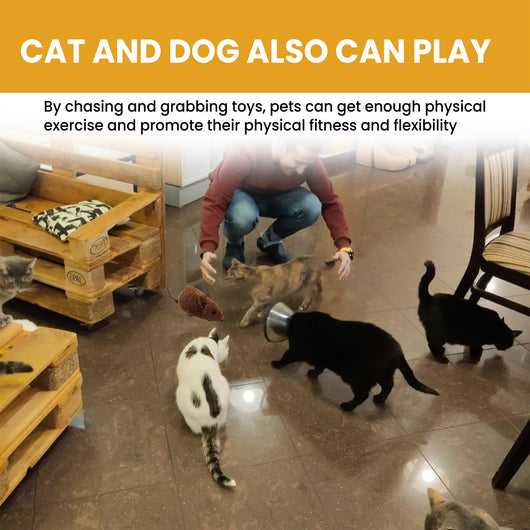 Brown interactive mouse toy for cats with a sound chip, shown in packaging with a kitten graphic and as a standalone toy. - Image 15