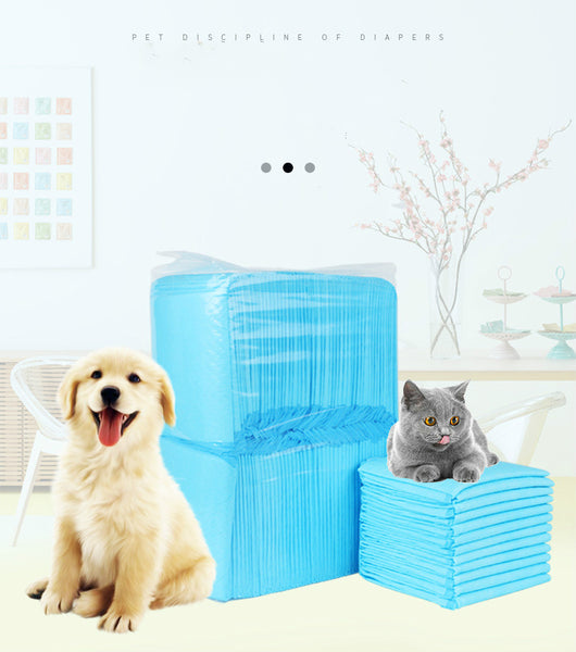 Pañal Absorbente Premium para Mascotas - Gatos y Perros - Image 2