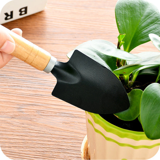 Pala para plantas y jardinería de interior - Image 3