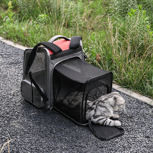 Mochila Transportadora Expandible para Mascotas - Gran Capacidad - Image 2