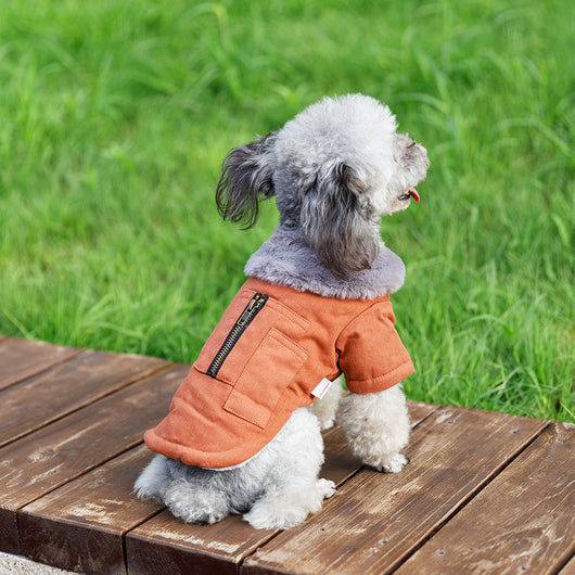 Chaleco Térmico para Mascotas - Abrigo Grueso para Otoño e Invierno - Image 30