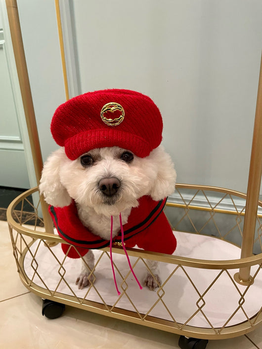 Suéter Abrigador para Perros - Ropa de Invierno y Otoño - Image 9