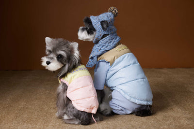 Chaleco Acolchado de Invierno para Perros Pequeños - Teddy, Schnauzer, Bichón - Image 20