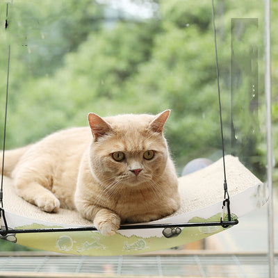 Hamaca de Cristal para Gatos - Cama Colgante con Ventosas Súper Adherentes - Image 13