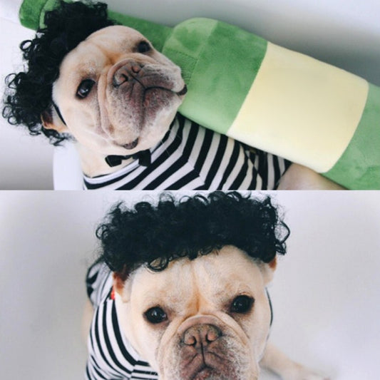 Peluca Divertida para Mascotas - Accesorios Cómicos y Creativos