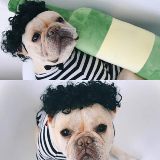 Peluca Divertida para Mascotas - Accesorios Cómicos y Creativos