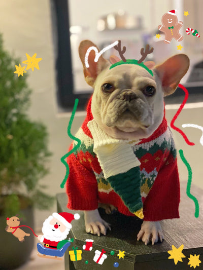Suéter Navideño para Mascotas - Diseño Divertido de Pelea - Image 13