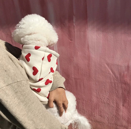 Suéter Cálido para Mascota con Estampado de Amor - Image 10