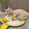 Rascador para Gatos con Sisal - Tabla Rascadora Premium
