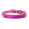 Dorado Pink Powder XS