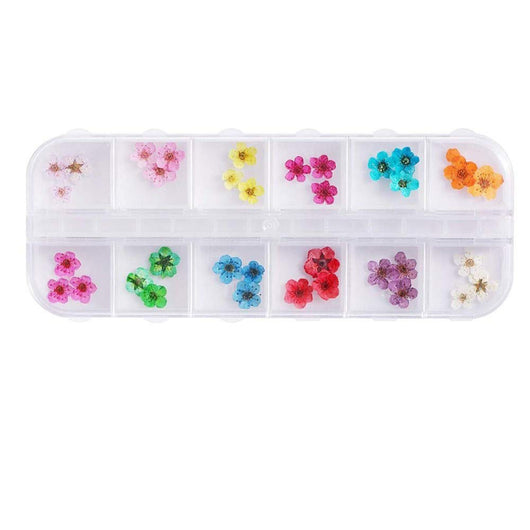 Kit de Flores Secas para Decoración de Uñas - 12 Compartimentos con Margaritas y Flores Silvestres Reales - Image 19