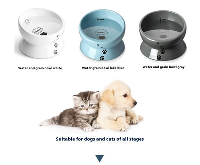 Comedero para Gatos con Protección Espinal y Borde Elevado - Image 14