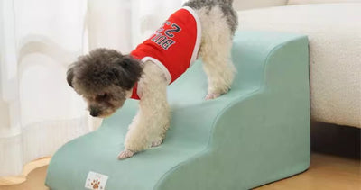 Escaleras de Acceso para Mascotas - Cama Elevada Sofá - Image 13