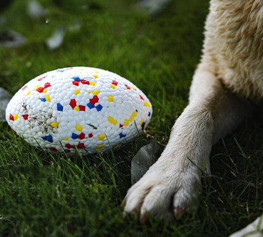 Golden retriever dog swimming in water, holding a white, textured, rugby-shaped pet chewing toy with pink and blue dots. - Image 11