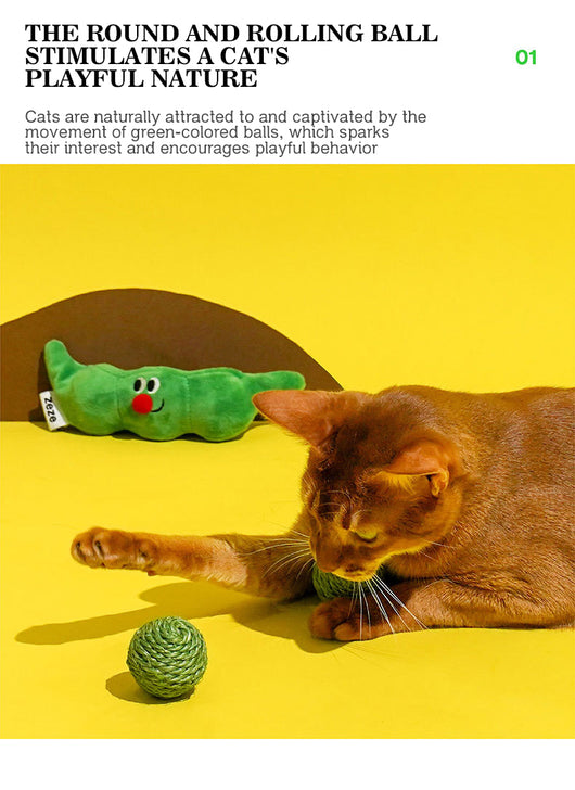 Juguetes Interactivos para Gatos - Pelotas de Sisal y Bastón Teaser - Image 15