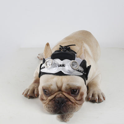Vestido de Fiesta para Mascotas - Image 3