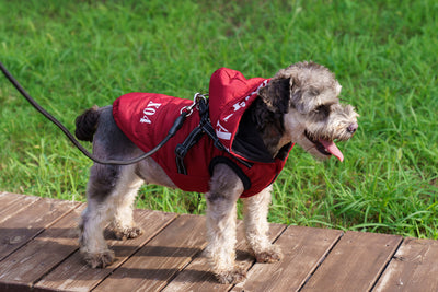 Abrigo Impermeable para Perros con Forro Polar y Capucha - Image 12