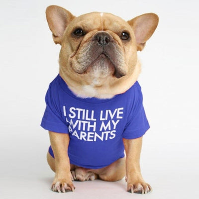 Polera Cuello Alto para Mascotas - Diseño Clásico y Cómodo - Image 3