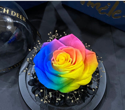 Rosas Preservadas Amor Eterno - Regalo Perfecto para San Valentín y Cumpleaños - Image 18