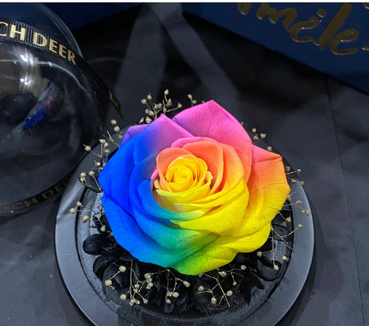 Rosas Preservadas Amor Eterno - Regalo Perfecto para San Valentín y Cumpleaños - Image 18