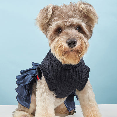 Conjunto de Abrigo y Falda para Mascotas - Otoño e Invierno - Image 13