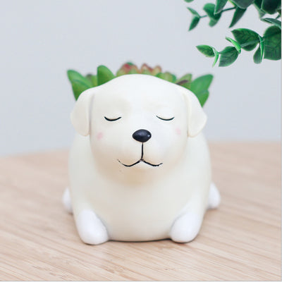 Maceta Decorativa Mascota Durmiente con Suculenta - Image 13