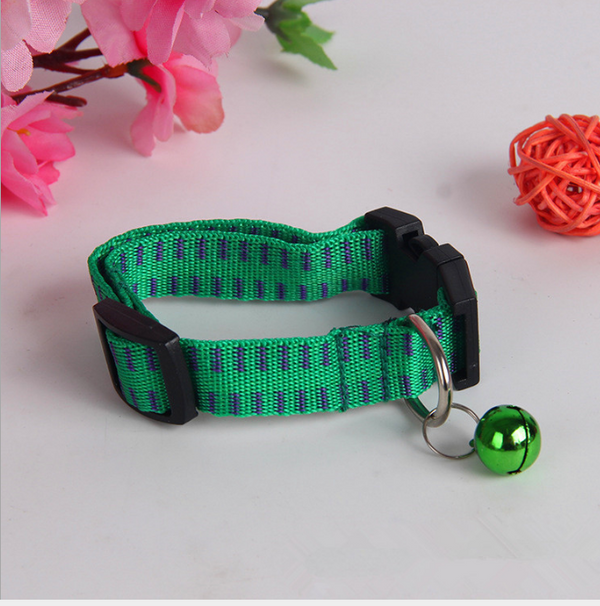 Collar para Perro Premium