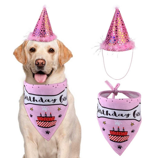 Set de Sombreros y Toallas para Fiestas de Cumpleaños de Mascotas - Image 2