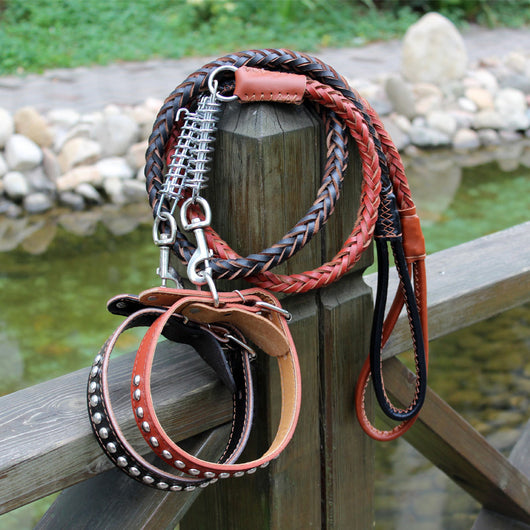 Collar de Cuero Genuino - Image 6