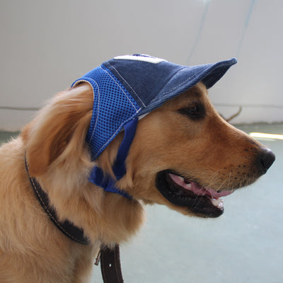 Gorra de Béisbol Transpirable con Protección Solar para Mascotas
