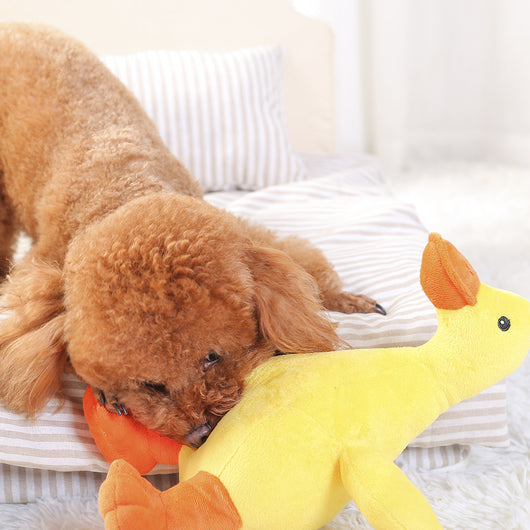 Brown poodle dog sleeping soundly, cuddling a yellow plush duck toy with orange beak and feet on a striped pillow. - Image 9