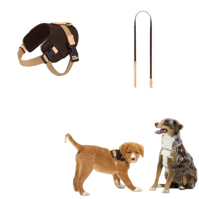 Arnés de Moda Urbana para Mascotas - Image 3