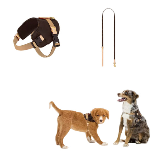 Arnés de Moda Urbana para Mascotas - Image 3