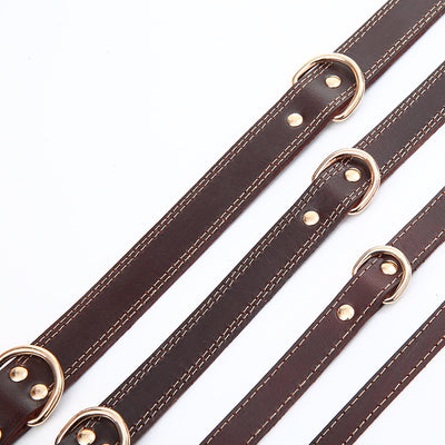 Collar para Perro en Cuero Genuino Premium - Image 2