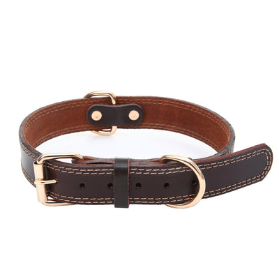 Collar para Perro en Cuero Genuino Premium - Image 7