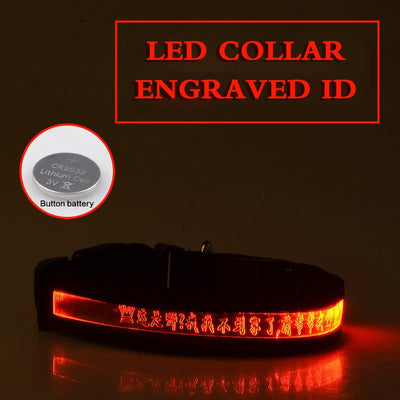 Collar Luminoso para Perros con Grabado Radium - Identificación Nocturna - Image 5