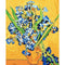 Color 4 40 X 50