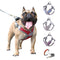 Correa de Tracción PET para Collar de Perros Pequeños y Medianos