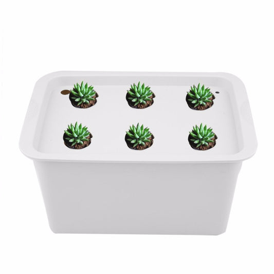 Kit de Cultivo Hidropónico para Balcón - Experimento Soilless - Image 2