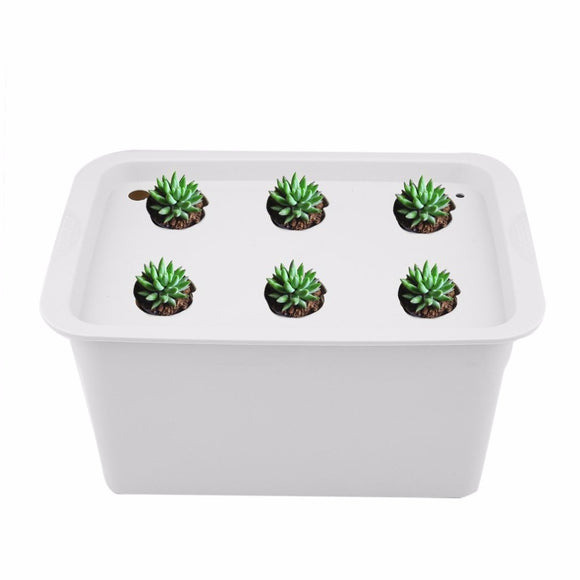Kit de Cultivo Hidropónico para Balcón - Experimento Soilless