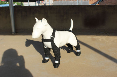 Correa Reflectante Antisuciedad para Perros - Image 20