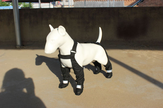 Correa Reflectante Antisuciedad para Perros - Image 20