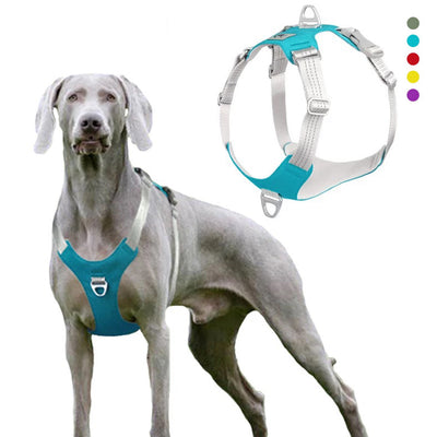 Arnés Reflectante y Transpirable para Mascotas con Correa de Tracción