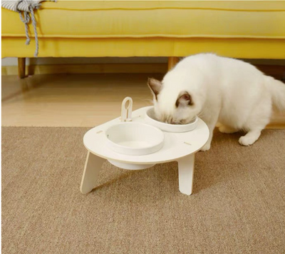 Comedero Elevado para Gatos con Protección Cervical