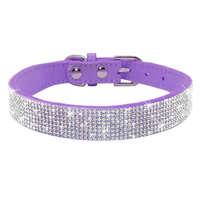 Collar para Perro Estilo Hot Dog - Image 9